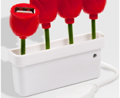 pot-coquelicot-hub-cadeau-original