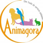 L’interview : Sébastien Chatelier nous présente Animagora un site qui a du chien !