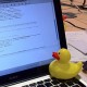 methode canard pour programmer, developpement web