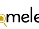 Homeleo Logo