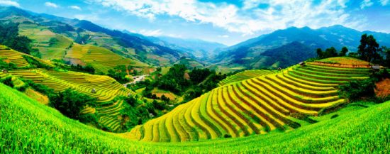 movetoasia : vivre au vietnam en tant qu'expatrié