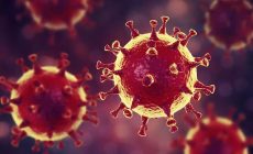 coronavirus pressmyweb